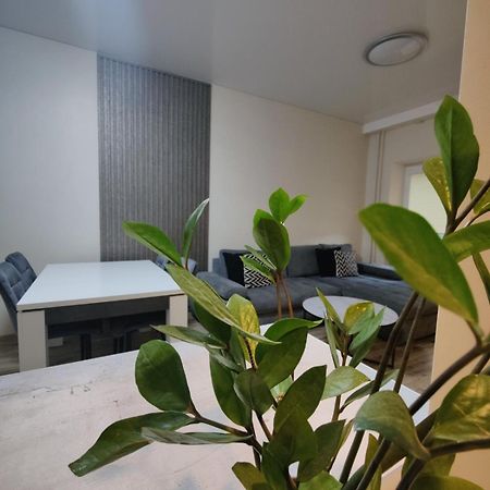 V15 Apartment Druskininkai Ngoại thất bức ảnh