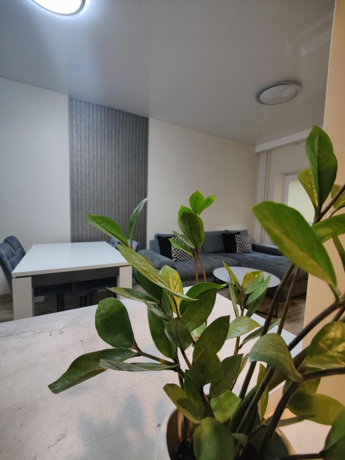 V15 Apartment Druskininkai Ngoại thất bức ảnh